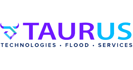 taurus services